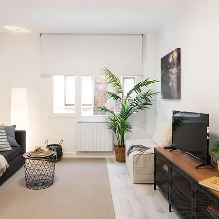 Frida Centro Appartement *